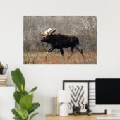 Poster M10 Bull moose (Bureau à domicile)