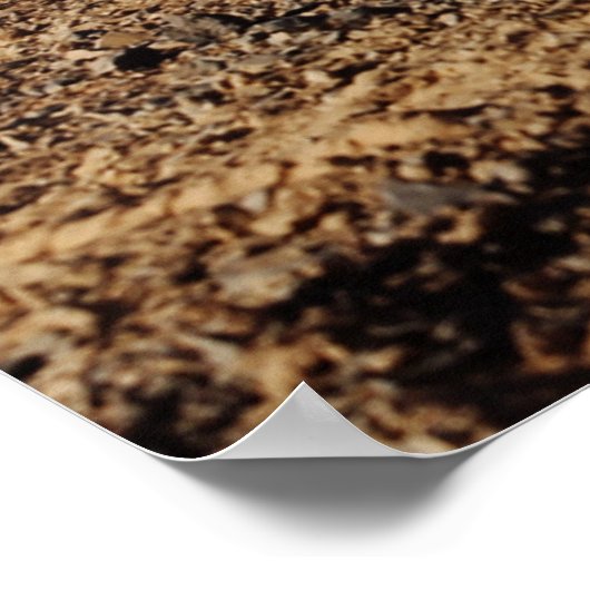 Poster M1A1 Abrams - char de combat principal (Coin)