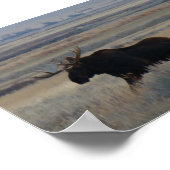 Poster M2 Orignal (Coin)