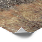 Poster M8 Orignal dans les broussailles (Coin)