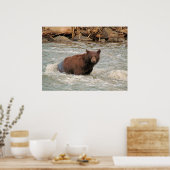 Poster M. Bear (Cuisine)