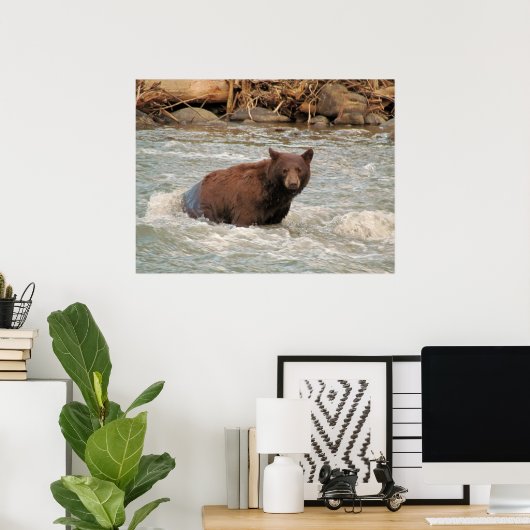 Poster M. Bear (Bureau à domicile)