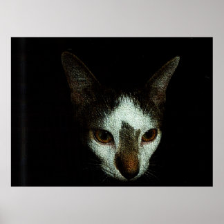 Poster M. Bud au repos