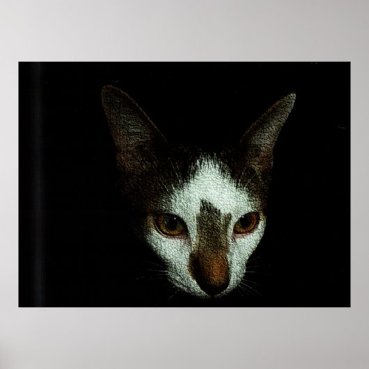 Poster M. Bud au repos (Devant)