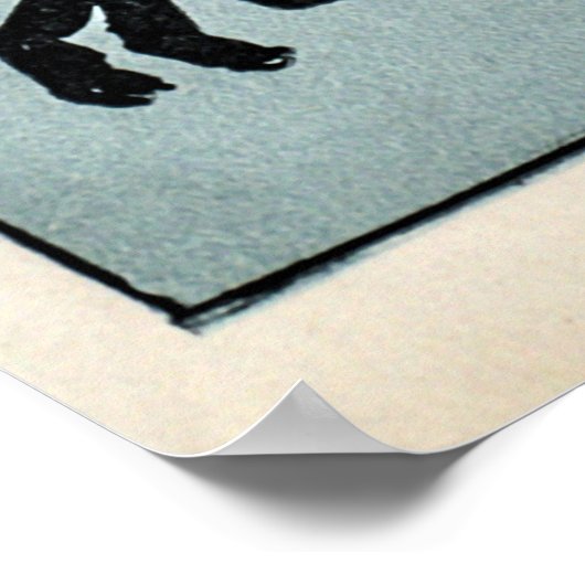 Poster M. Bunny, son livre - Adam L. Sutton (Coin)