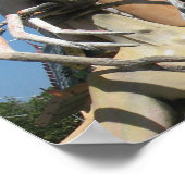 Poster M. Crustacean AKA Tête de homard ... Enfer bouddhi (Coin)