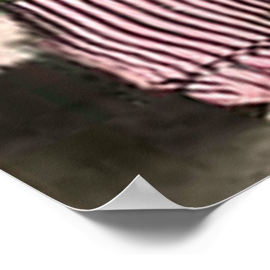 Poster M. et Mme Cat (Coin)