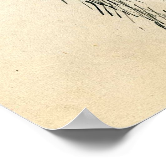 Poster M. et Mme Ostrite (Coin)