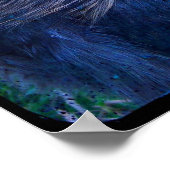 Poster M. Fluffy le coq Silkie (Coin)