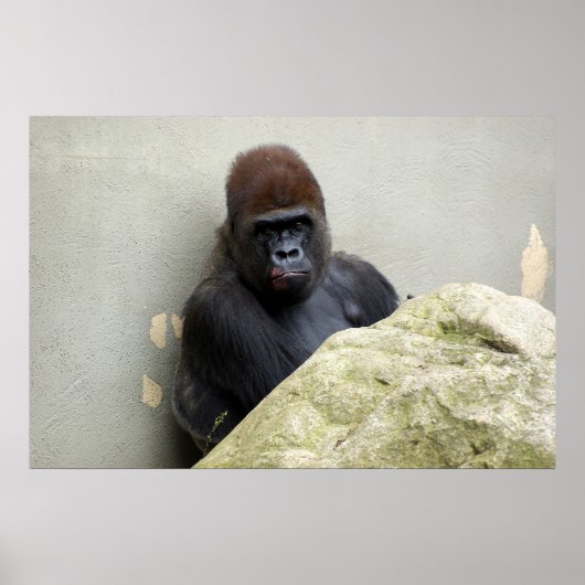 Poster M. Gorilla a eu une mauvaise journée (Devant)
