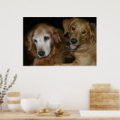 POSTER M & H 2 (Cuisine)