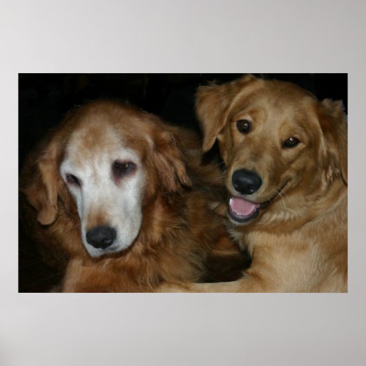 POSTER M & H 2 (Devant)