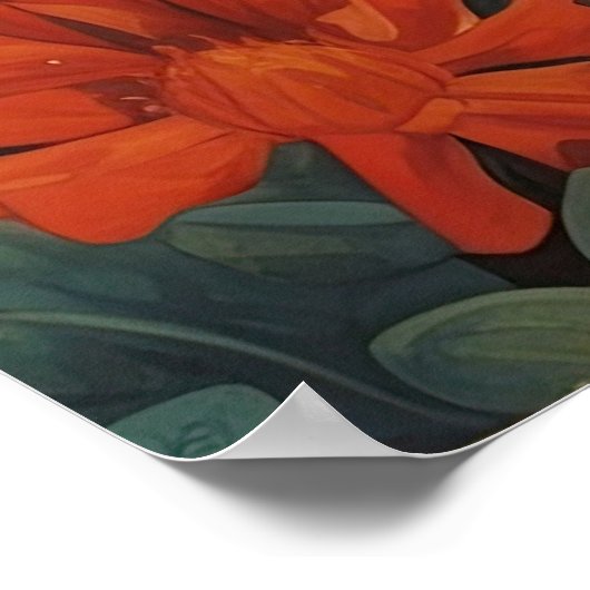 Poster M. Kangaroo Vous Regardant (Coin)