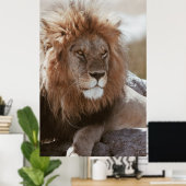 POSTER M. LION (Bureau à domicile)