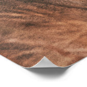 POSTER M. LION KING (Coin)