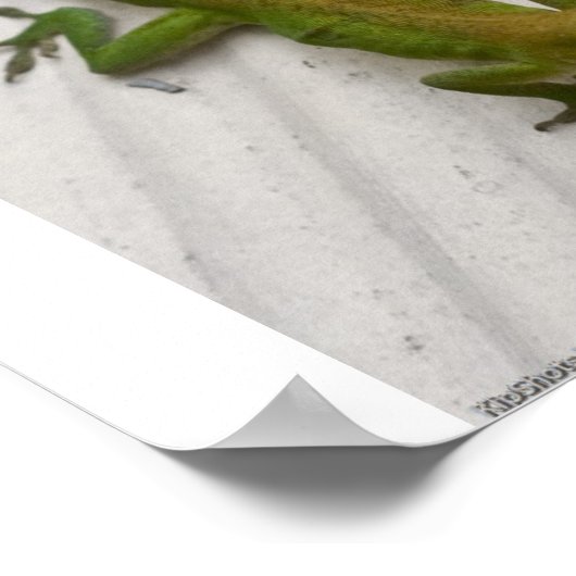 Poster M. Lizard (Coin)