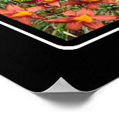 Poster M Monogramme Créez votre propre collection de phot (Coin)