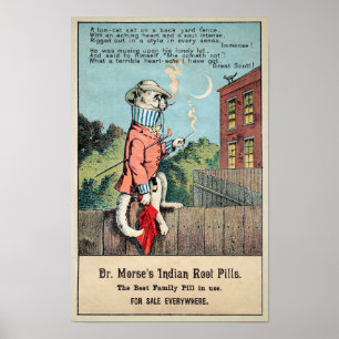 Poster M. Morse Carte de commerce de chat no 1 (de 4)