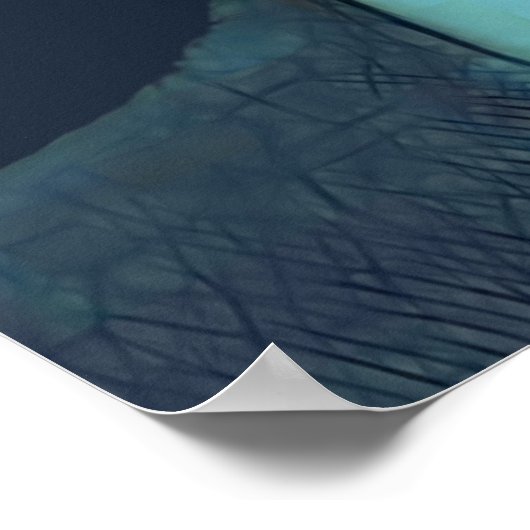 Poster M. Nohope (Coin)