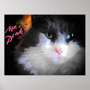 Poster M. Pink par djoneill