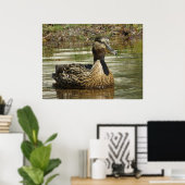 Poster M. Quack (Bureau à domicile)