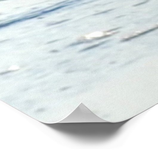 Poster M. Seagull (Coin)