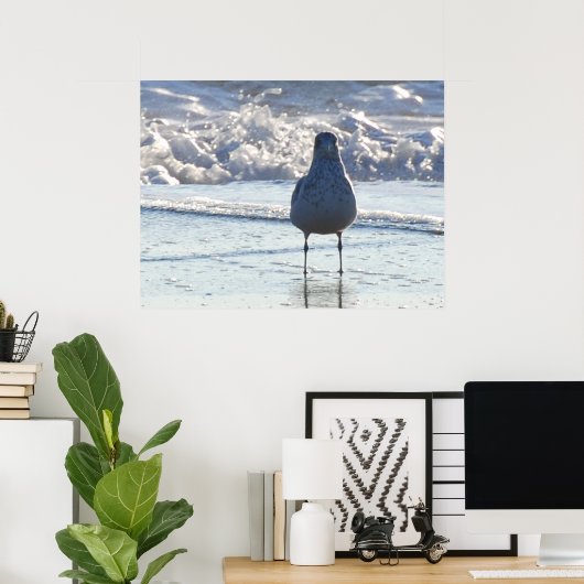 Poster M. Seagull (Bureau à domicile)