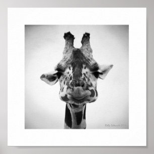 Poster M. Serious Giraffe Photographie noir et blanc