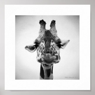 Poster M. Serious Giraffe Photographie noir et blanc