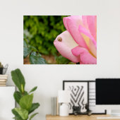 Poster M. Snail (Bureau à domicile)