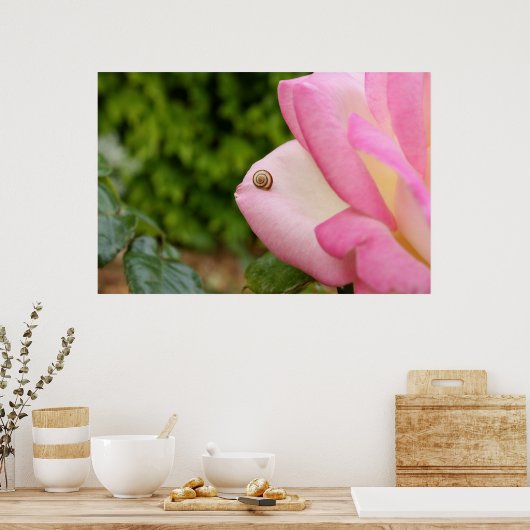 Poster M. Snail (Cuisine)