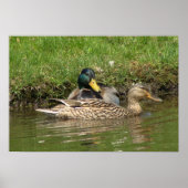 Poster Ma belle fille (Devant)