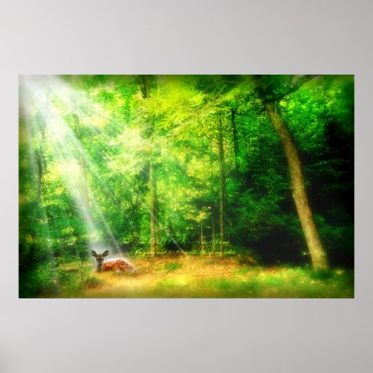 Poster Ma gloire (Devant)