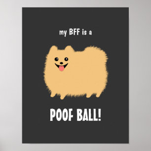 Poster Ma meilleure amie est un Pomeranian boule de poils