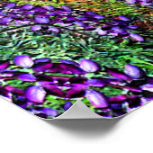 Poster Ma roue de médecine... (Coin)