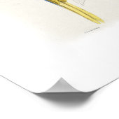 Poster Macao bleu et jaune (Coin)