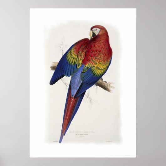 Poster Macao rouge et jaune (Devant)