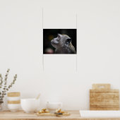 Poster Macaque à longue queue en gros plan (Cuisine)