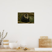 Poster Macaque à queue de lion dans le sanctuaire foresti (Cuisine)