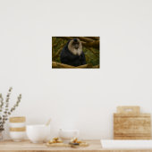 Poster Macaque à queue de lion dans le sanctuaire foresti (Cuisine)