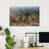 Poster Macaques dans la masse (Bureau à domicile)