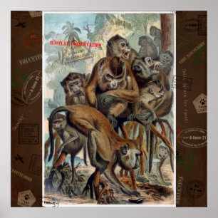 Poster Macaques pour le voyage responsable