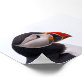 Poster Macareux en Islande (Coin)