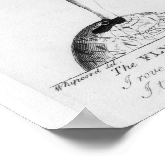 Poster Macaroni à la volée (Coin)