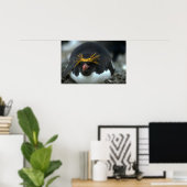 Poster Macaroni Penguin Assis Sur Un Oeuf (Bureau à domicile)