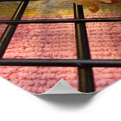 Poster Macarons à la noix de coco et aux cerises (Coin)