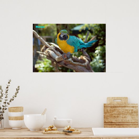 Poster Macaw (Cuisine)