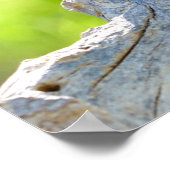 Poster Macaw assis sur la branche (Coin)