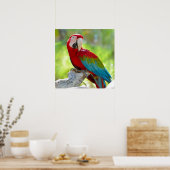 Poster Macaw assis sur la branche (Cuisine)