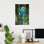 Poster Macaw bleu et jaune à partir de JungleWalk.com (Bureau à domicile)